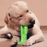 1st Place in the World - Most Effective Dog Toothbrush
