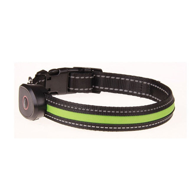 Safety LED Collar-USB LED Light waterproof Flashing Glow Pet Collar