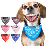 Baby Sailor Dog Scarf