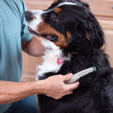 Anti Knot Grooming Comb