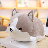 Cute Corgi Pillow