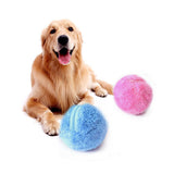 Magic Roller Ball Toy