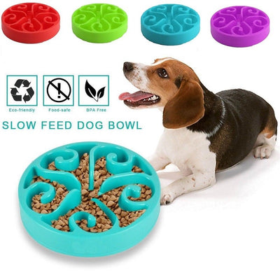 Circle Maze Interactive Slow Feeder Bowl